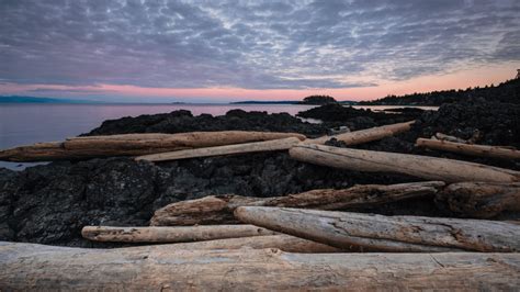 private investigator nanaimo|Private Investigation Services in Vancouver Island.